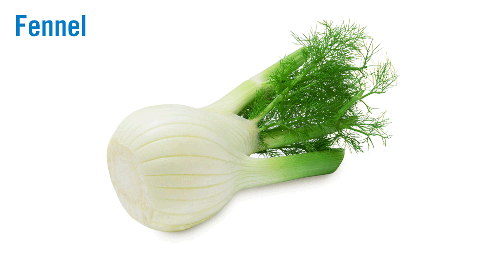 Flavor of the Week: Versatile fennel brings freshness to dishes.