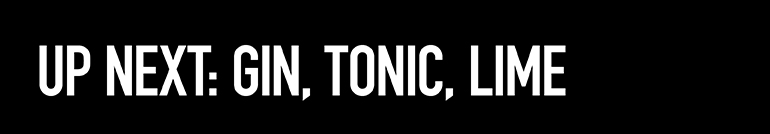 gin-tonic-lime-bar.jpg