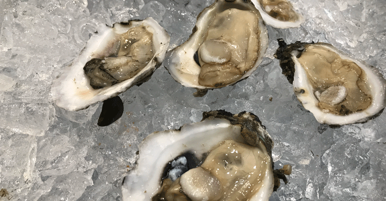 seafood-expo-Oysters_from_Crystal_Oysters-bret-thorn.png