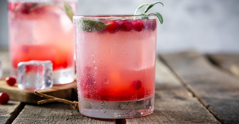cranberry-sage-shrub-cocktail-promo.png