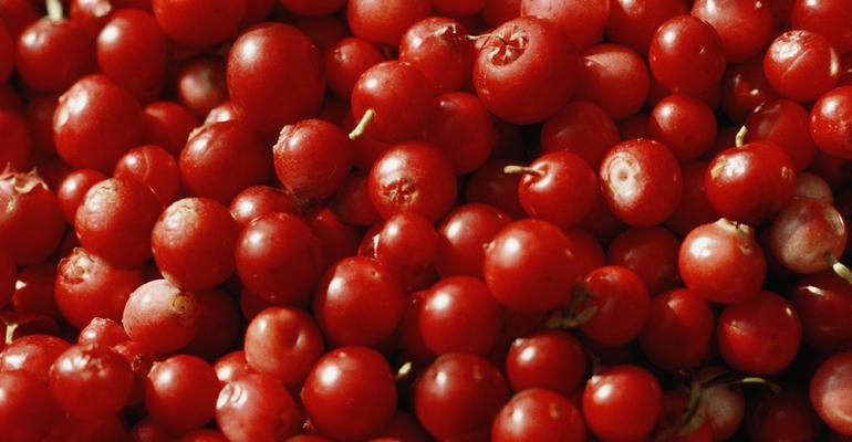 lingonberry-flavor-of-the-week.jpg