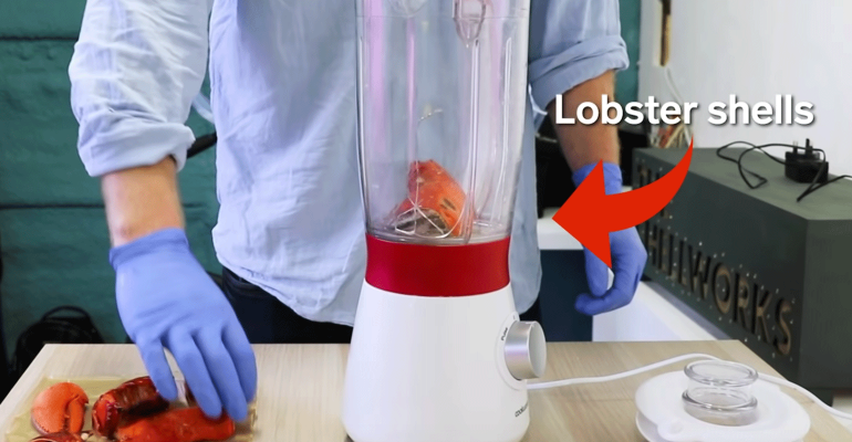lobster-shells-replace-plastic-tech-insider-youtube-promo.png