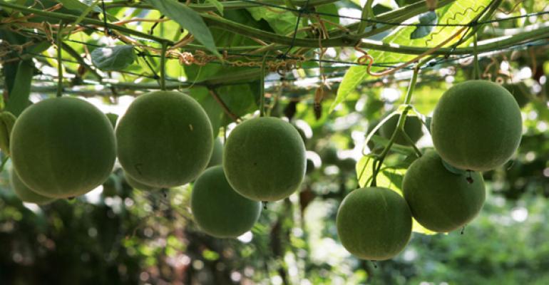 Monk fruit is being turned into an alternative sweetener