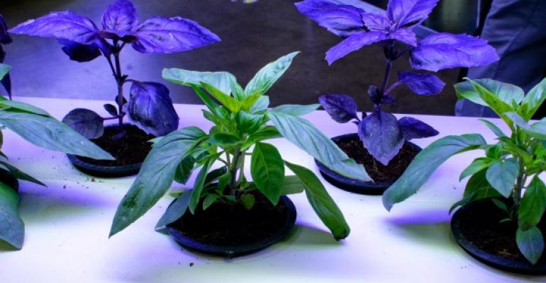 A hydroponic garden was among exhibits at the recent NRA Show devoted to sustainability