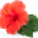 hibiscus-2-flower.png