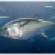 Best Practices For Bluefin Tuna