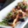 Chopstick Grilled Lemongrass Pork with Black Pepper Caramel, Viet-Herbs and Roasted Peanuts