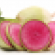 watermelon-radish-flavor-of-the-week.png