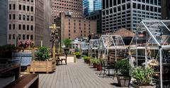rooftop-dining-ampia.jpg