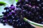 Elderberry-superfood.jpg