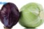 cabbage-2-red-and-green.jpg