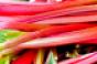 flavor-of-the-week-rhubarb.jpg
