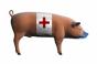 Swine Flu: Where To Get Restaurant-Specific Advice