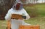Hilton ChicagoOak Brook Hills executive chef Sean Patrick Curry with some of his 100000 honey bees